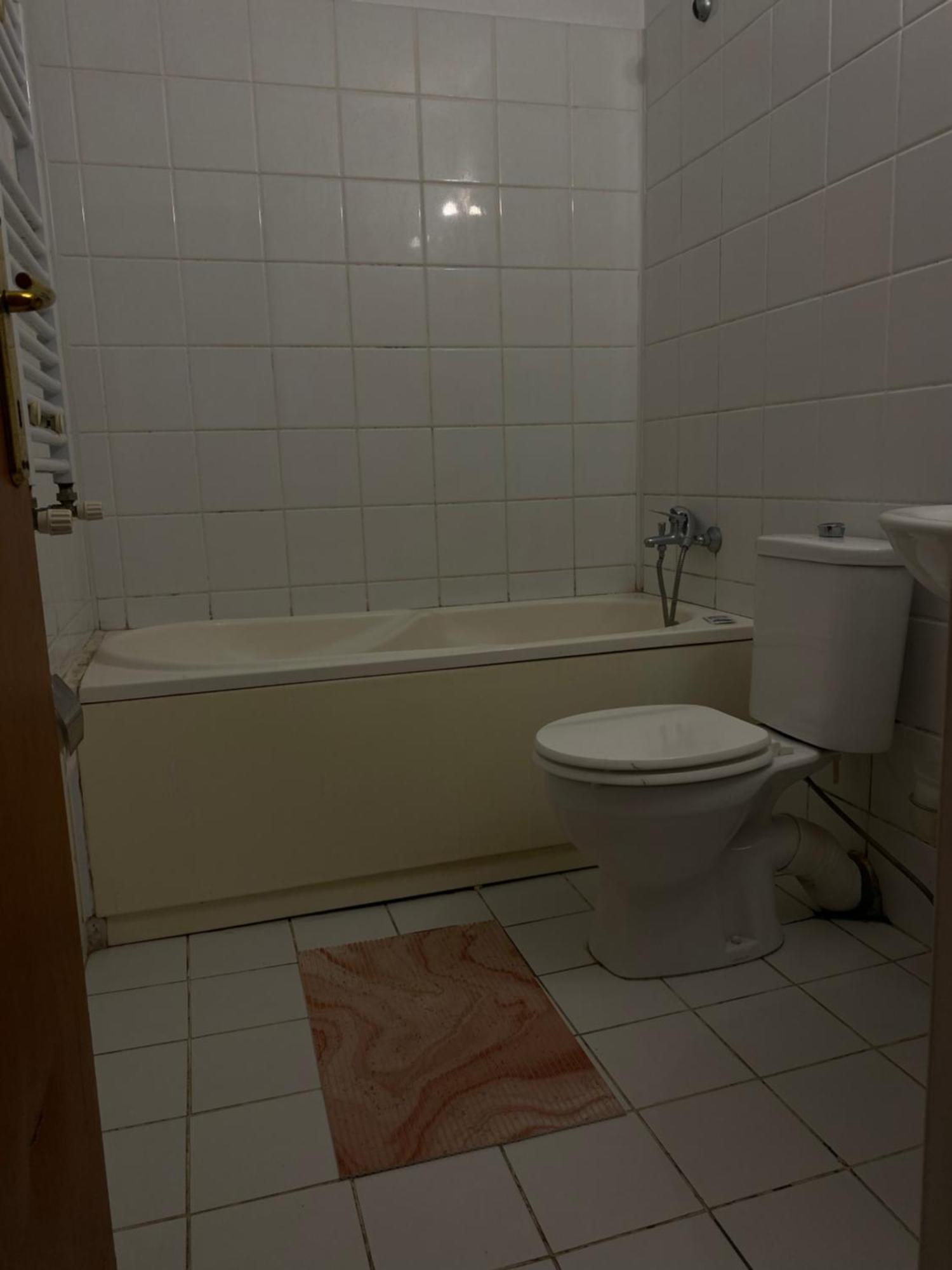הוילה בוקרשט Quiet Garden 1St Floor מראה חיצוני תמונה